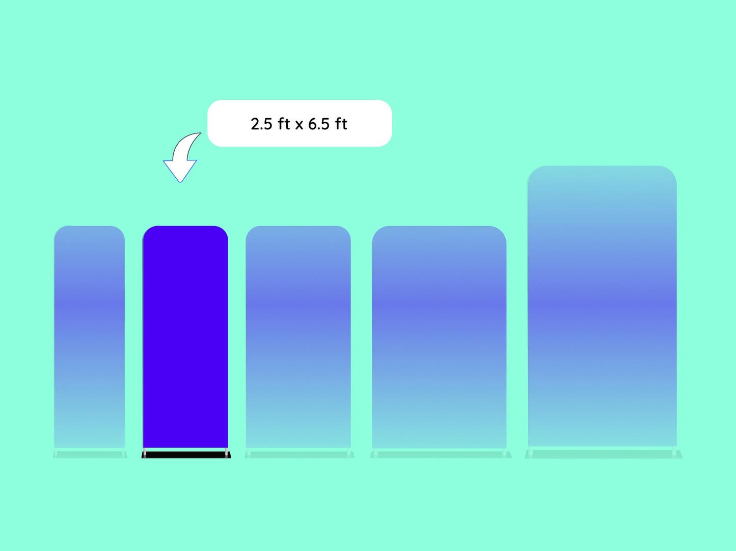 2.5 x 6.5 ft EZ Extend Display