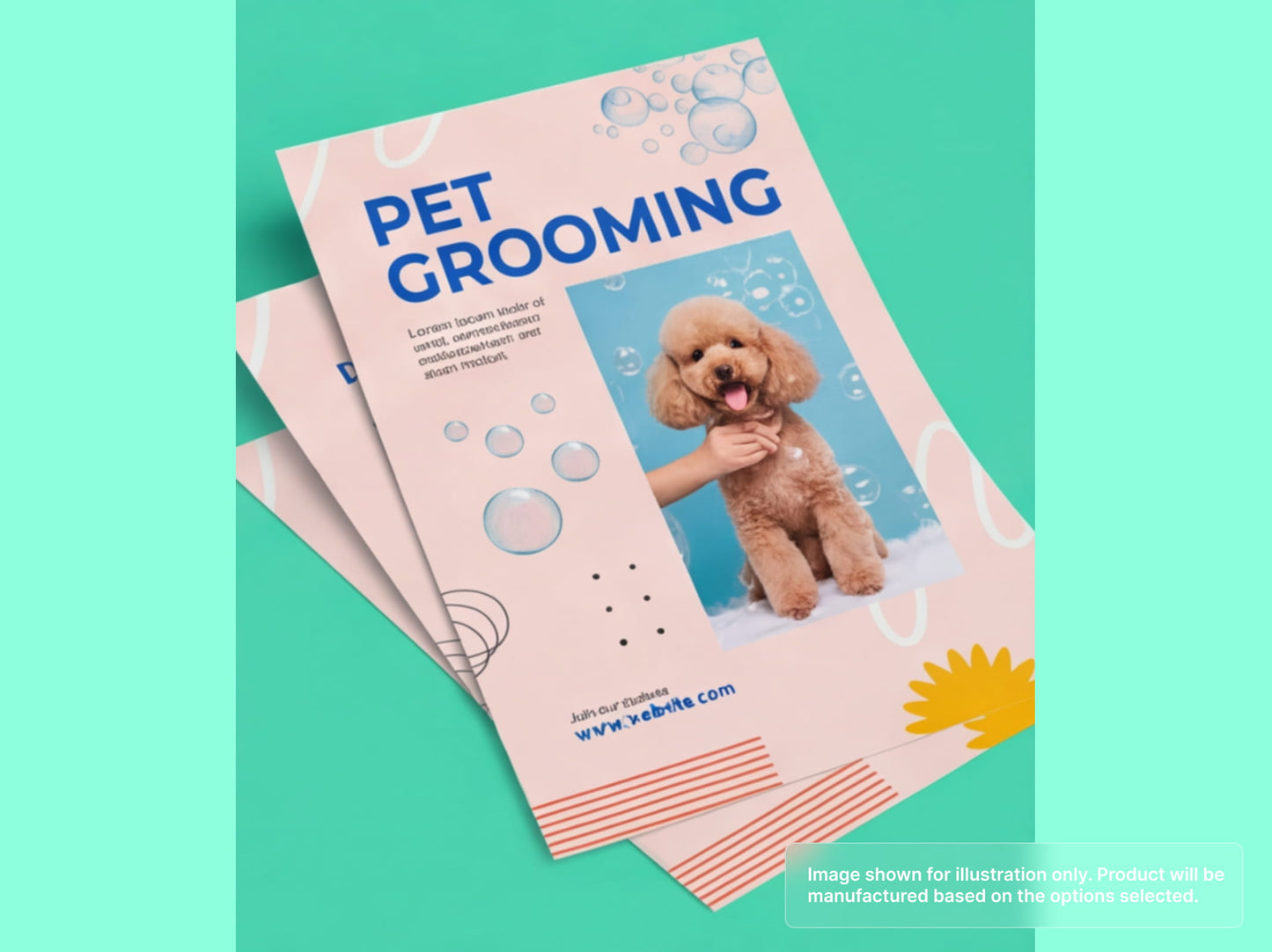 Business Flyers for Pet Grooming