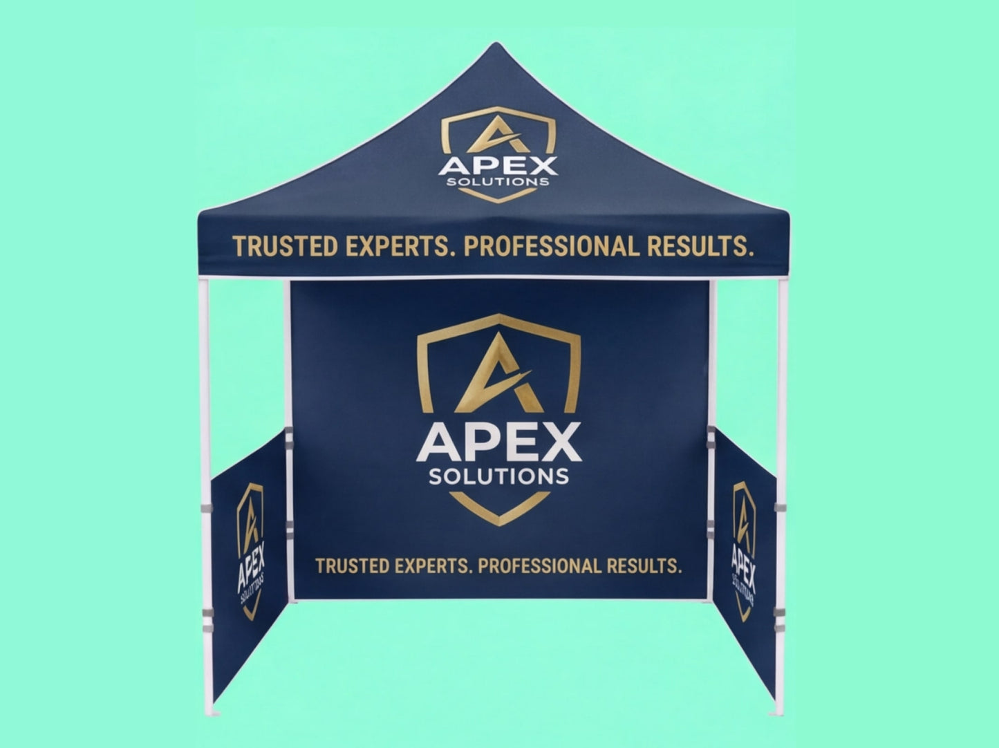 Custom Canopy Tent 10x10 for Professional