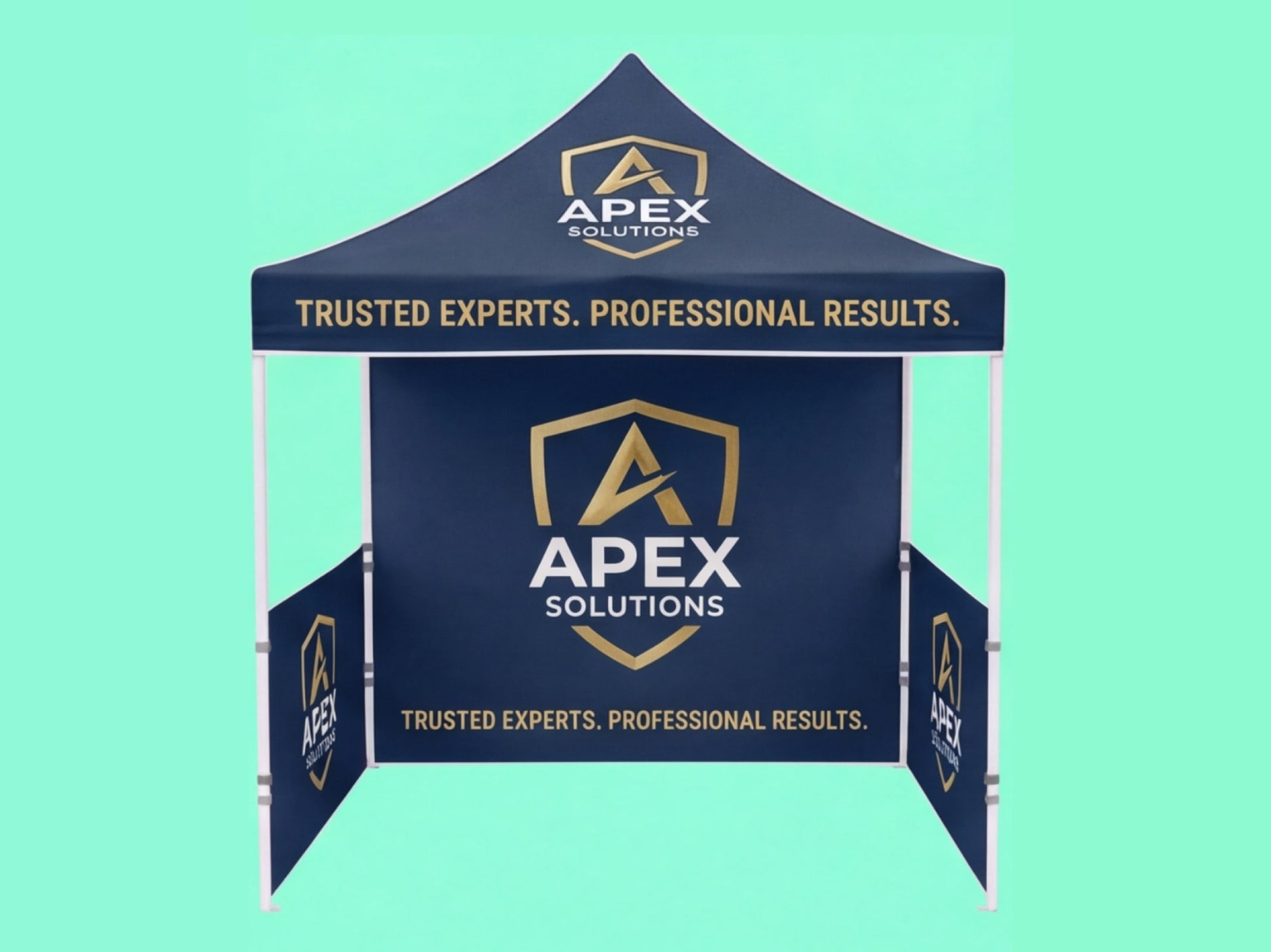 Custom Canopy Tent 10x10 for Professional