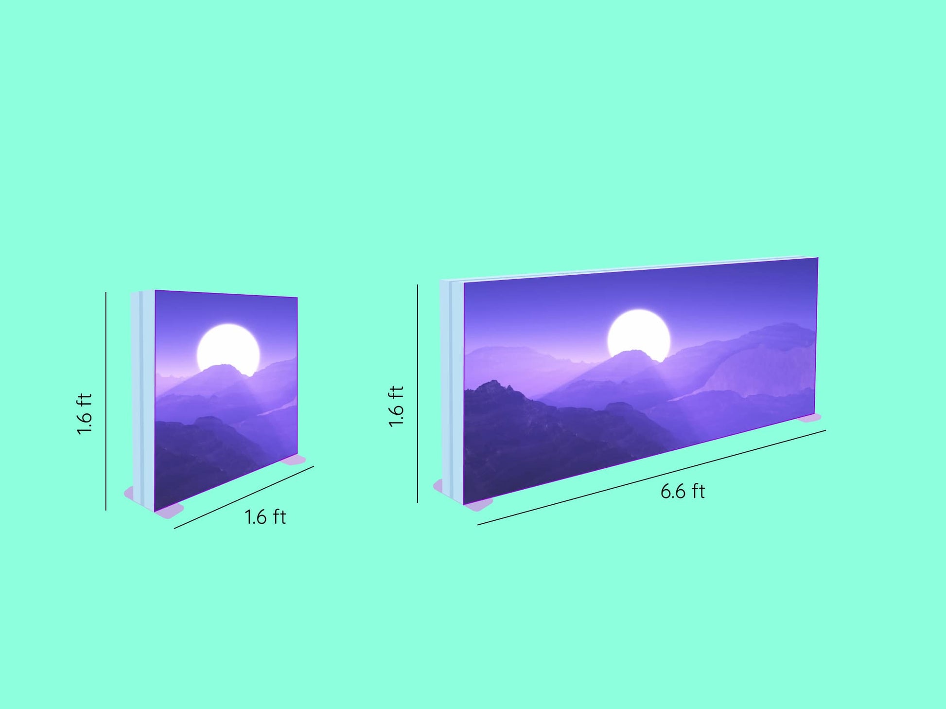 SEG Light Box Display - 1.6 ft SIZES comparison 